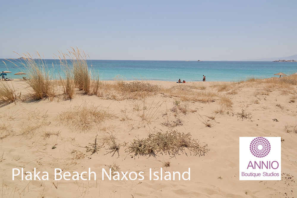 plaka beach naxos island